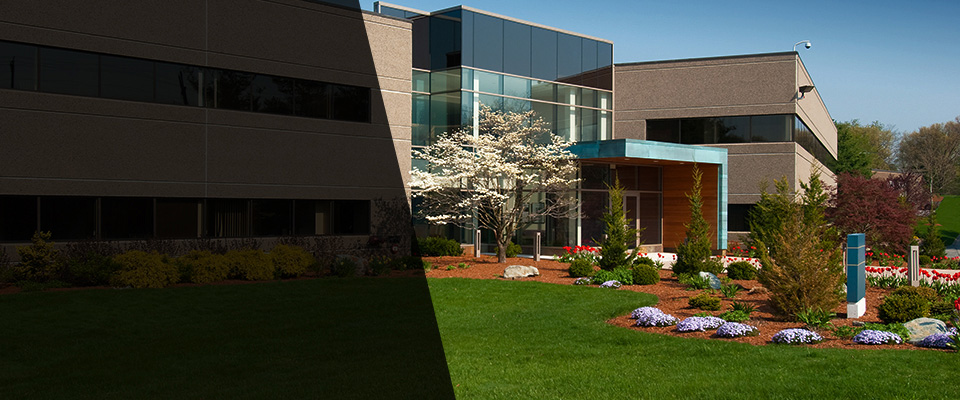 Edmonton Landscapers