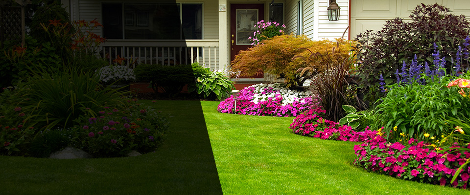 Edmonton Landscapers