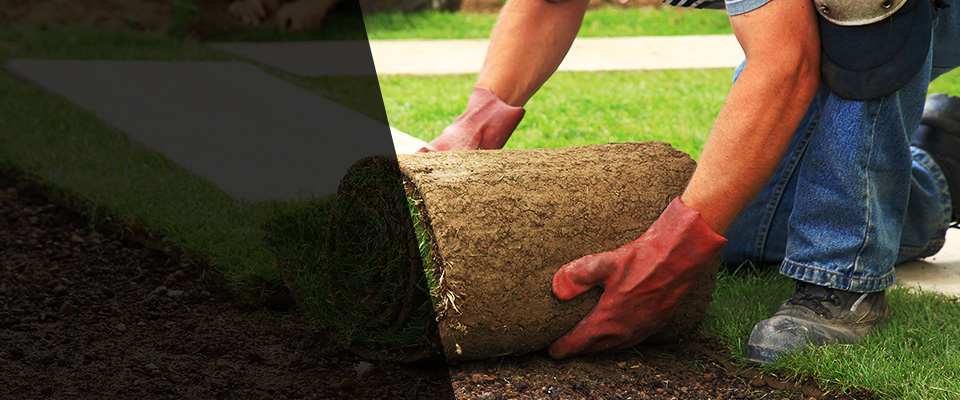 Edmonton Landscapers